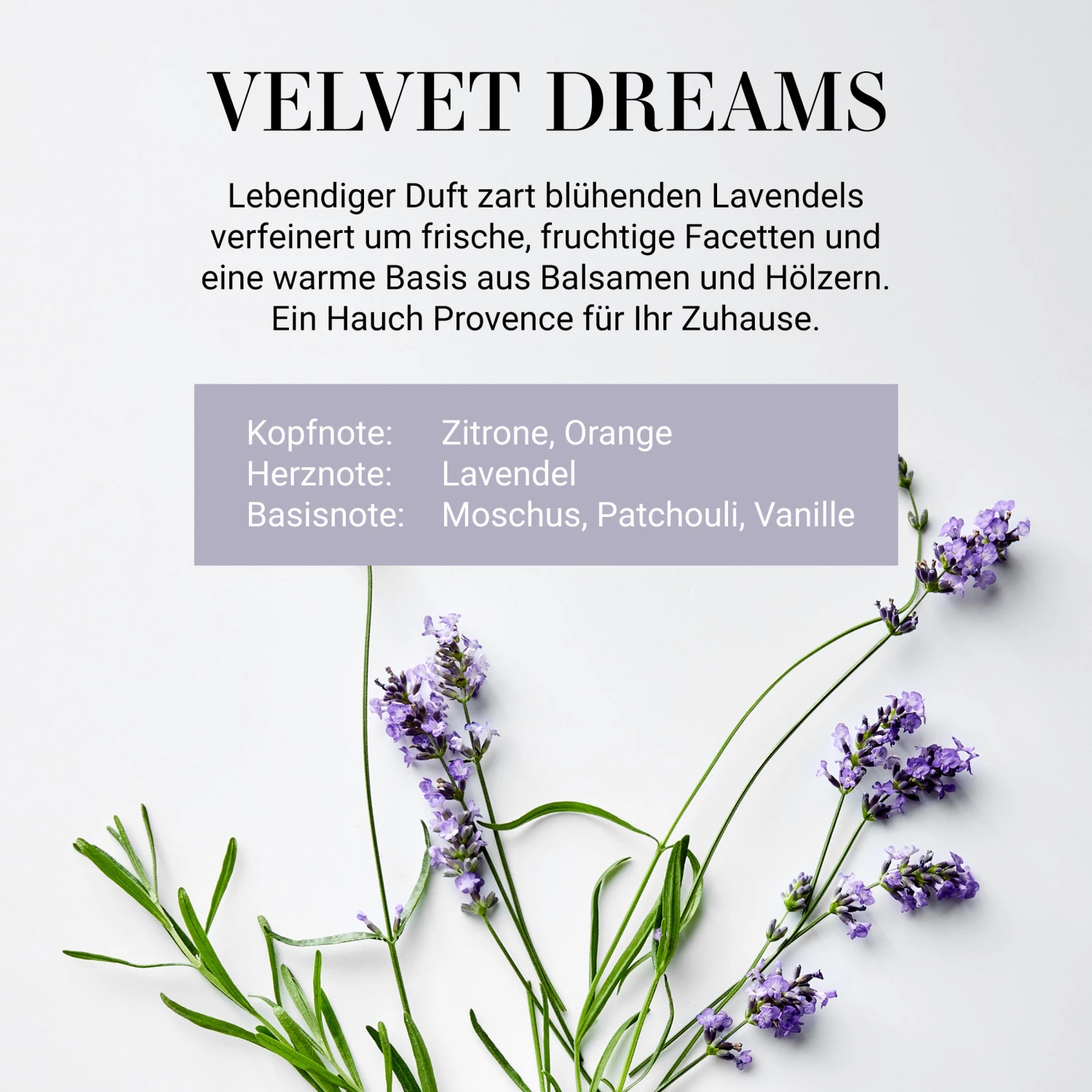 HOME & SOUL Raumduft No 3 "Velvet Dreams" 110ml 3 HOME & SOUL Raumduft No 3 "Velvet Dreams" 110ml – Bild 3