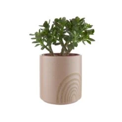 HAPPY RAINBOW Blumentopf Ø14cm -Bestes Möbelhaus Geschäft 10224336 1