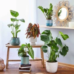 ROME Blumentopf Ø15cm -Bestes Möbelhaus Geschäft 10224658 4