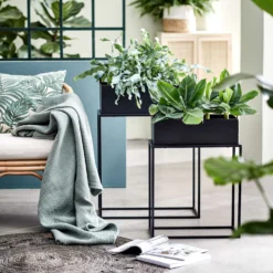 PLANTA Pflanzkasten Mit Gestell B 45 X T 21cm -Bestes Möbelhaus Geschäft 10226170 1