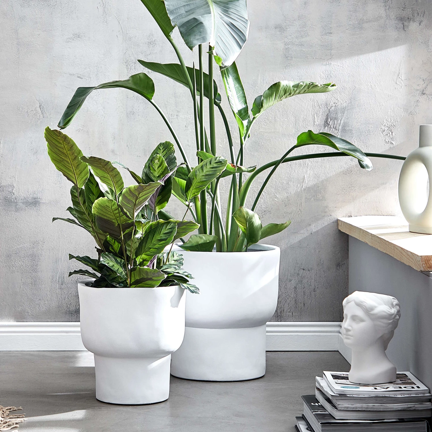 LOFT Pflanztopf Ø39cm 6 LOFT Pflanztopf Ø39cm – Bild 6