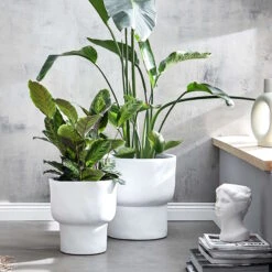 LOFT Pflanztopf Ø31cm -Bestes Möbelhaus Geschäft 10226295 1 6db09423 420d 4868 9156 a0d2c539dce6