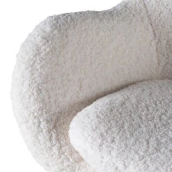 RAICH Sessel -Bestes Möbelhaus Geschäft 71000506 12