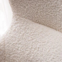 RAICH Sessel -Bestes Möbelhaus Geschäft 71000506 8