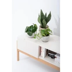 COOBY TV-Lowboard -Bestes Möbelhaus Geschäft 71000756 2